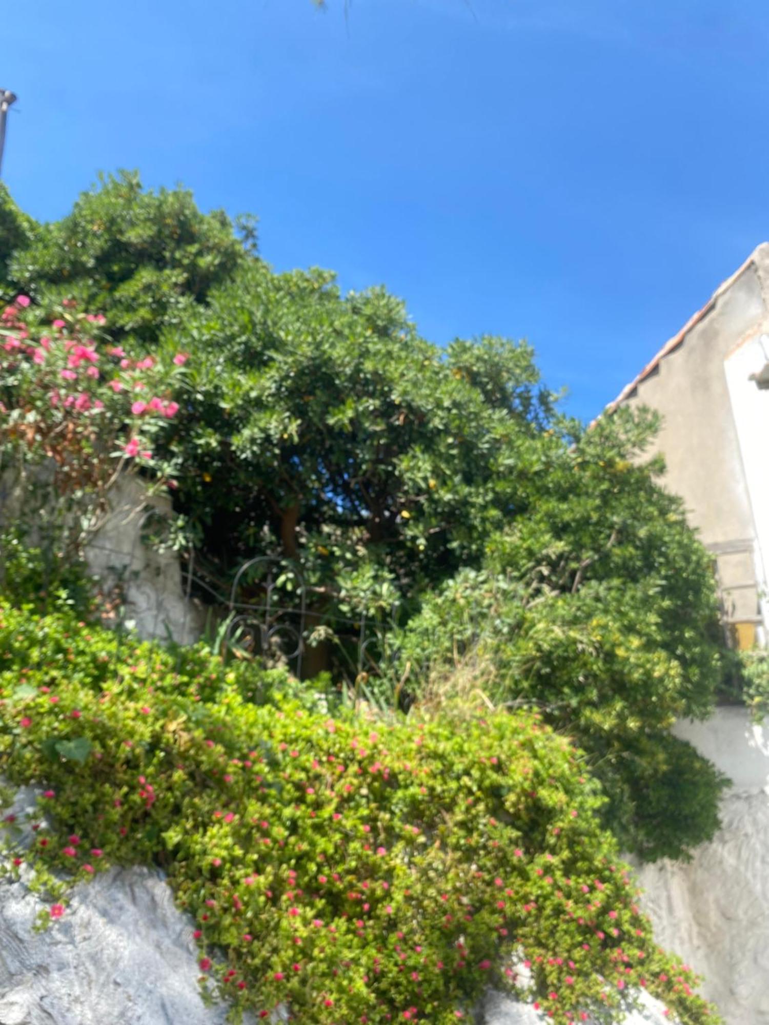 Au Coeur Du Parc National Du Massif Des Calanques, La Flibuste Des Goudes, Maison 2 Chambres, Climatisee, Jardins, Solarium, Proche Plage, Large Vue Mer Μασσαλία Εξωτερικό φωτογραφία